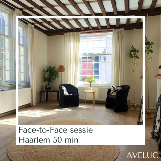 Face-to-Face sessie in Haarlem 50 min